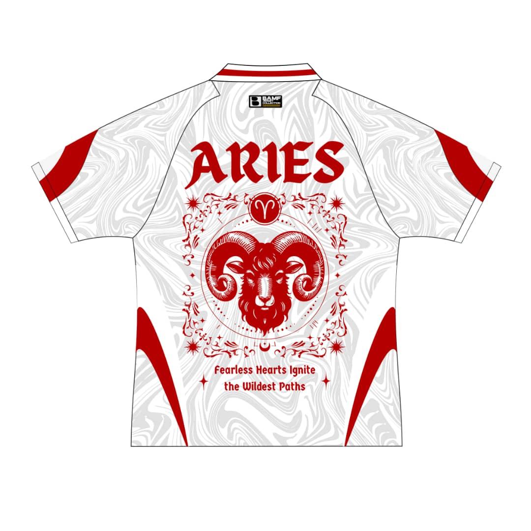 BAMF ARIES Front