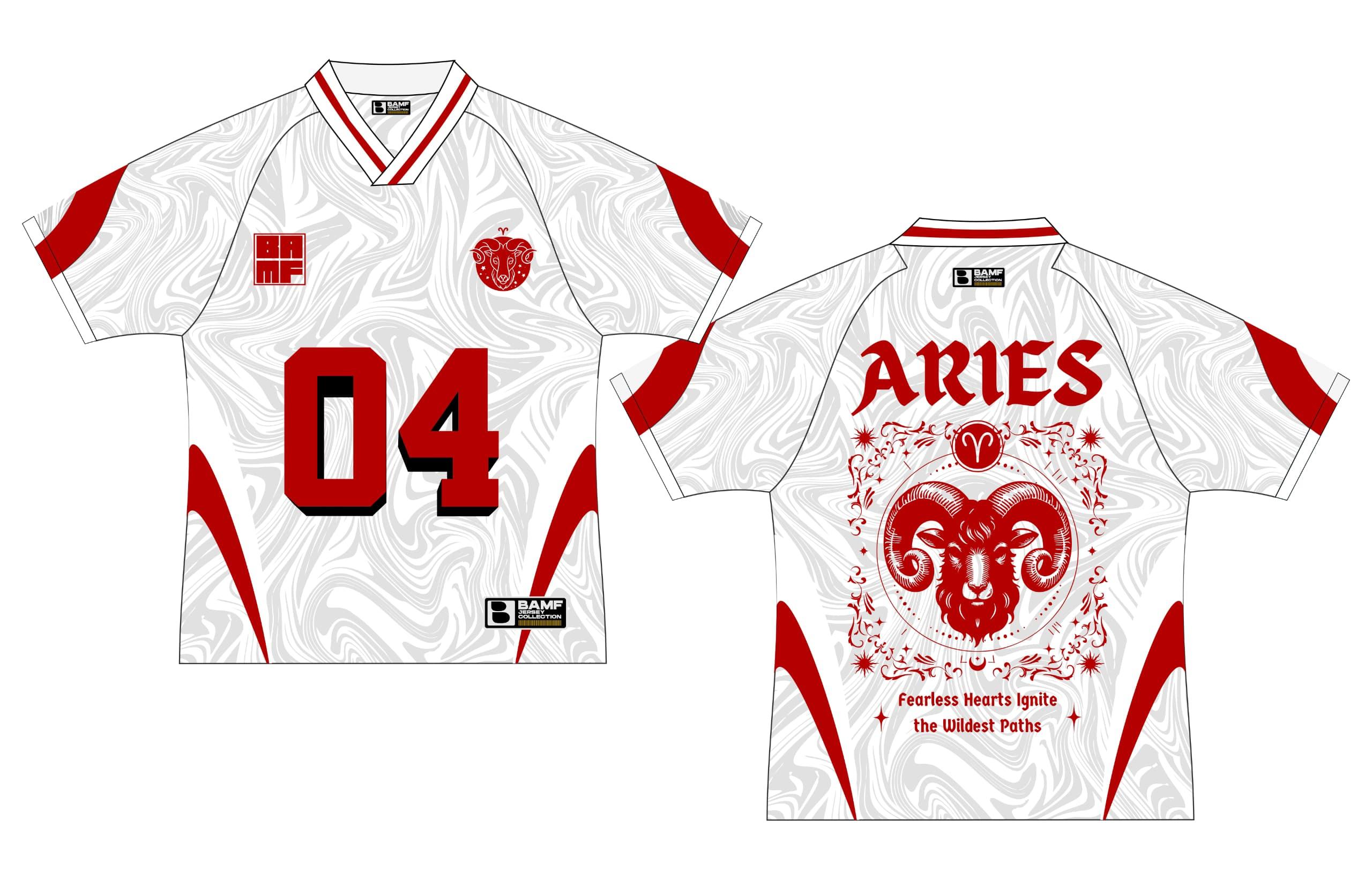BAMF ARIES Back